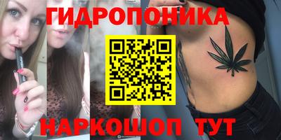 Альфа ПВП Моздок