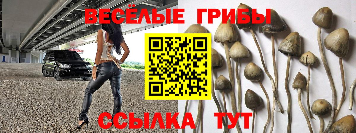 Галлюциногенные грибы MAGIC MUSHROOMS  Псилоцибиновые грибы ЛСД  Вход с VPN  Бугуруслан 